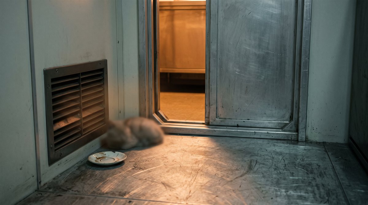 The Deck 7 galley door on a working deck: a scuffed steel deck plate, a plain vent grille low in the wall, and warm light spilling from the open galley across the floor. In the warm patch by the vent something small, soft and out of focus is curled up, impossible to make out, with a chipped saucer set down beside it.
