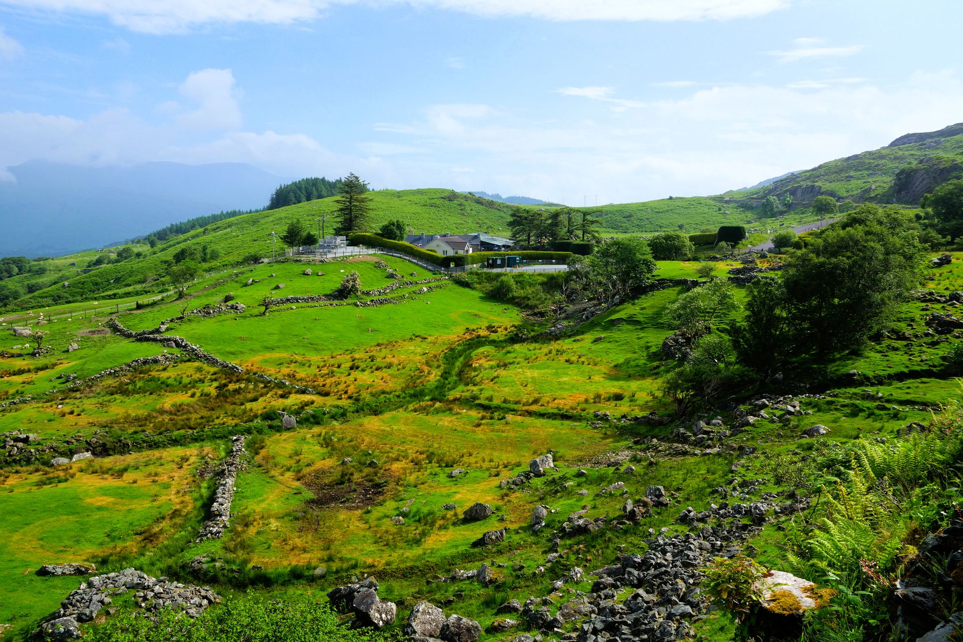 Green hills and fields of the Irish countryside