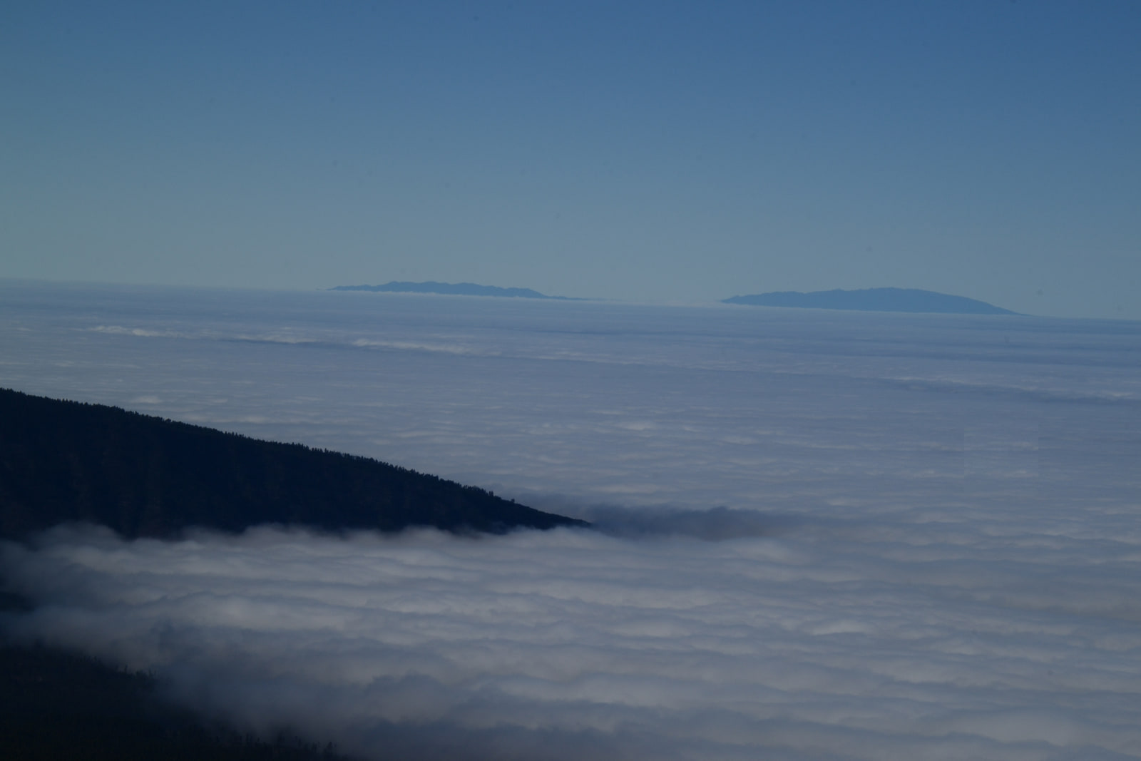A sea of cloud seen from a high slope, flat and white to the horizon under a clear sky, with two distant dark ridges standing out of it like islands and a forested ridgeline running down into the cloud.