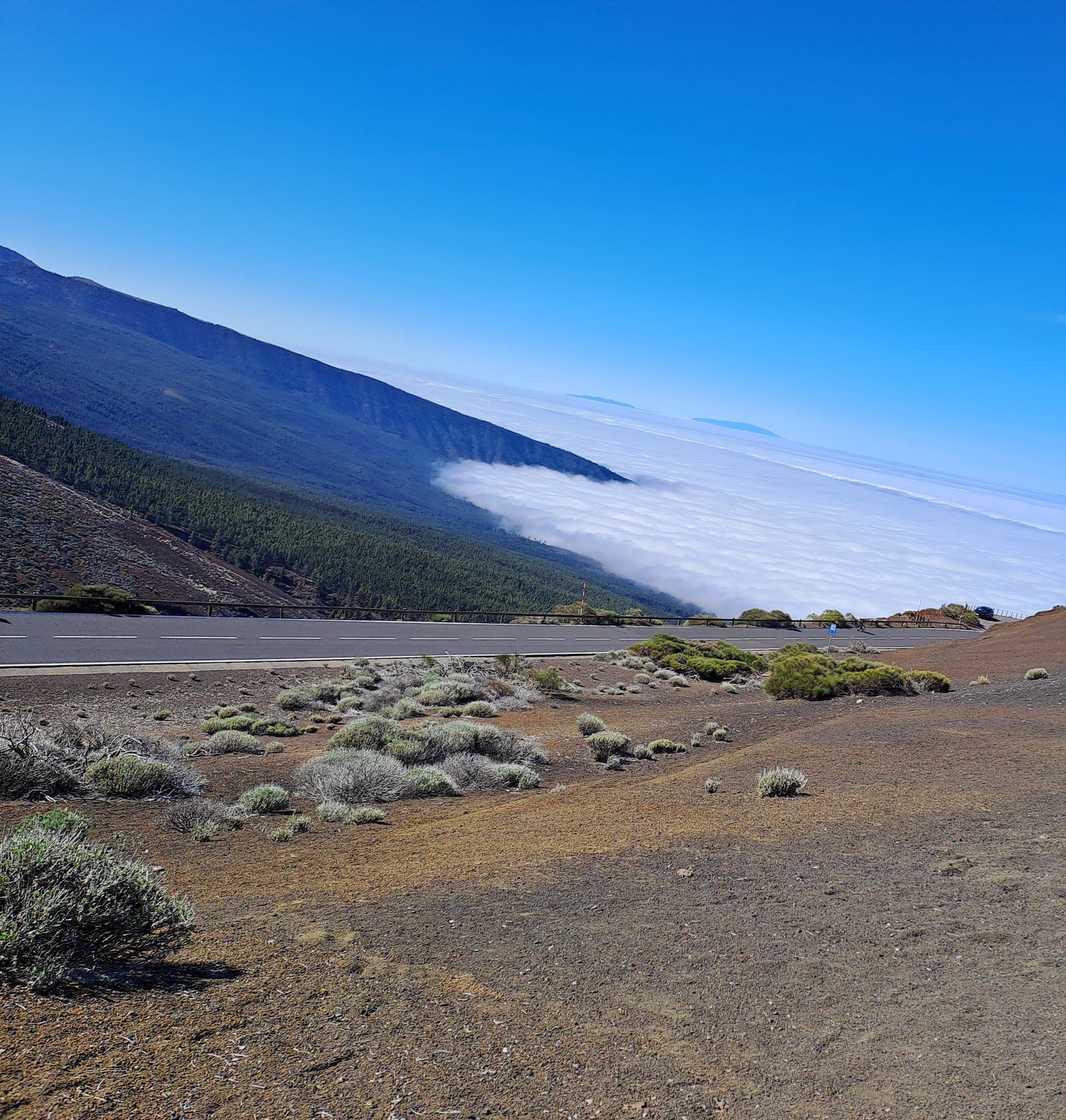 A sea of cloud filling the lowlands below Kernowek Reach's settled ridgeline, the Cloud Line marking the edge of the engineered band
