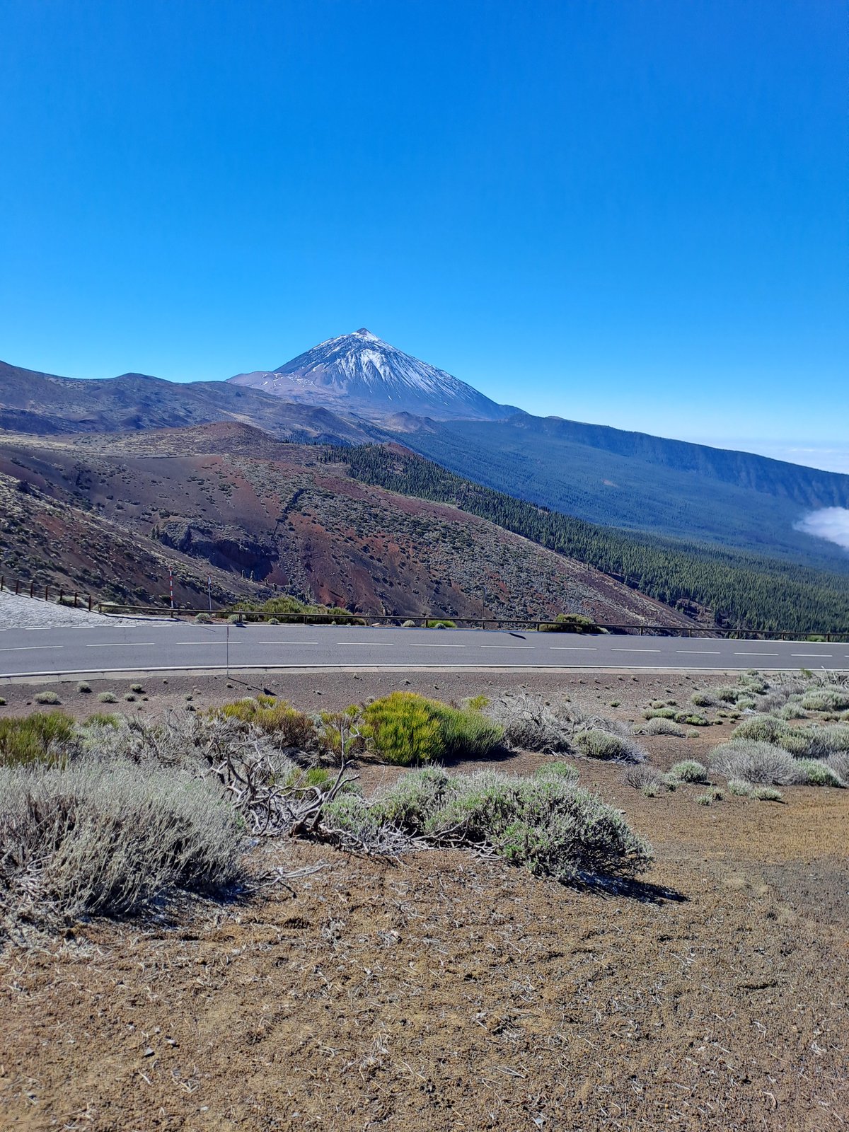 The engineered scrub band of Kernowek Reach's settled highlands, with the world's volcanic spine rising beyond