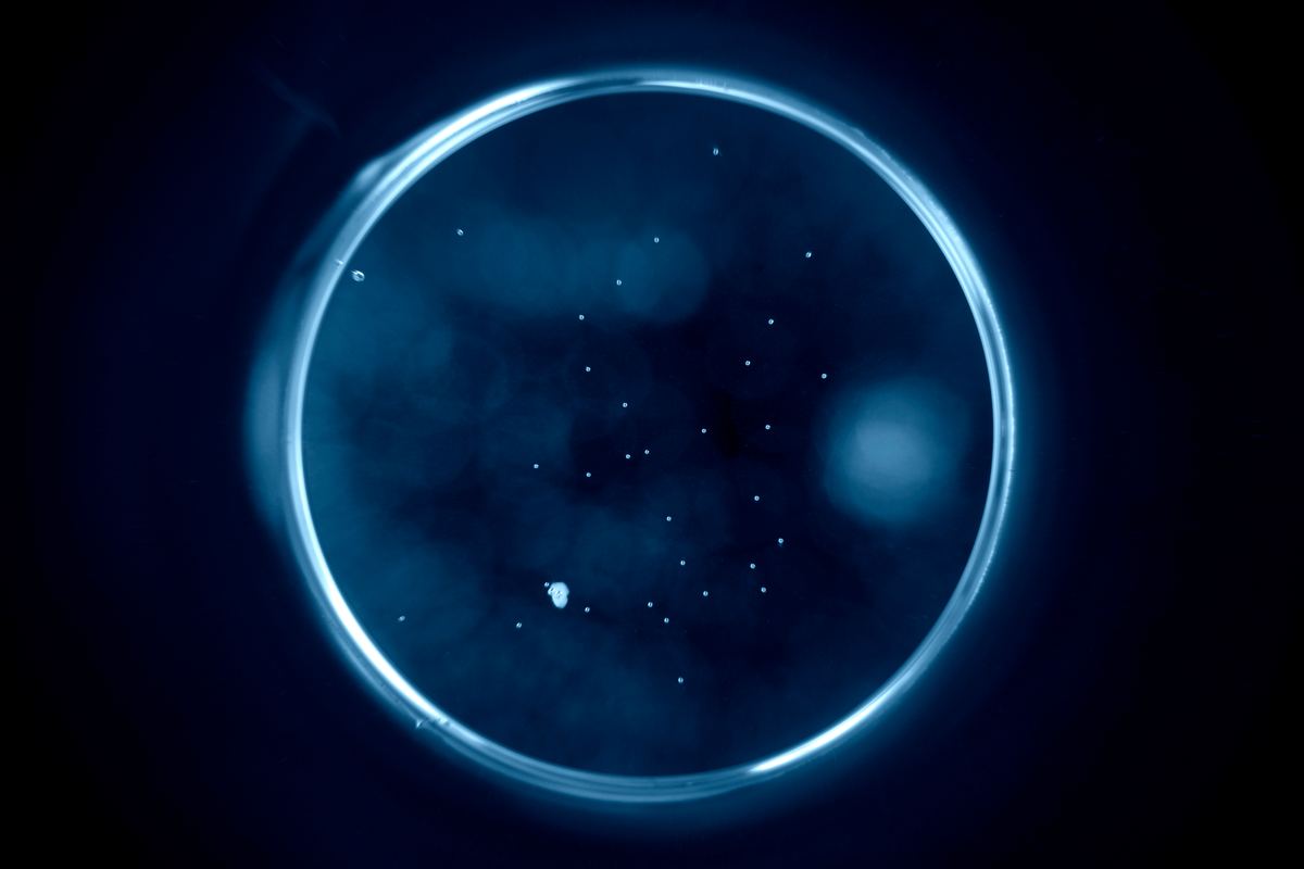 A ring of blue-white light glowing against black, enclosing a dark circular field scattered with small bright points and soft, out-of-focus pale patches, as though a shallow lit vessel were being photographed from directly above.
